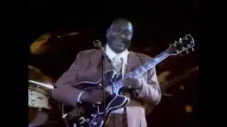B.B King - Lucille(live)