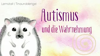 AUTISMUS 👶 Podcast Fol. 1 ENTSTEHUNG & WAHRNEHMUNG im Spektrum #tinaundderigel #lernstall #autismus