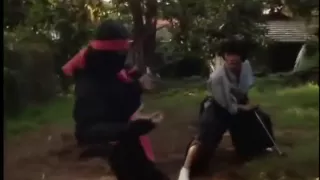 Revenge of The Ninja: Sho Kosugi vs Ninjas