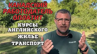 Иммиграция в Канаду без английского, образования и с минимумом денег