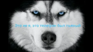 Текст песни #PavLova(Павлова) ~Глаза как у хаски~👁️👁️ 🐶