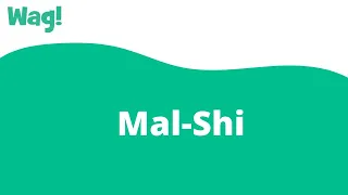 Mal-Shi | Wag!