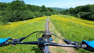 ЧЕРЕЗ ЧЕРНИКУ, ПОЛЯ И РЕКИ! Второй СУ на Enduro Ukraine Series, Stage 1. Пилипец