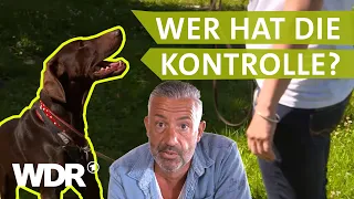 Endlich die Führung übernehmen | Hunde verstehen | S03/E01 | WDR