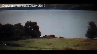 Two Loch Ness Ness Monsters Captured On Video on Our Nessie Live Cam