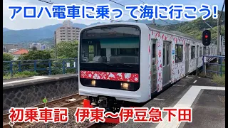 【伊豆急3000系】アロハ電車に乗って海に行こう！初乗車記　元JR東日本209系