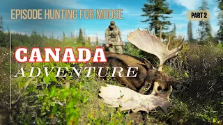 Canada Adventure Part 2 Episode Hunting for Moose