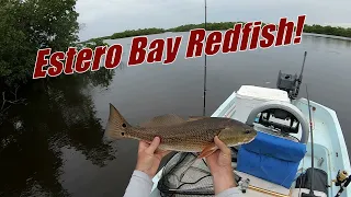 Fishing Backcountry Creeks in Estero Bay For Redfish, Snook, and Tarpon.