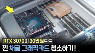 가격 실화? 채굴 그래픽카드 깔끔하게 세척해봤습니다!