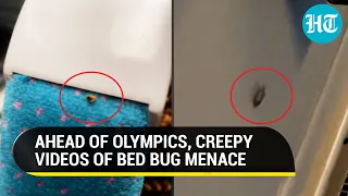 Paris: Bed Bugs Take Over Hotels, Airport, Trains As French Capital Prepares For 2024 Olympics