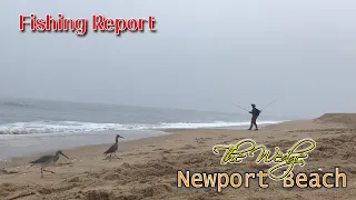 Fishing Report Newport Beach wedge/Another Beautiful Morning/Metal jig, Carolina/뉴포트비치에서 아침 산책 낚시