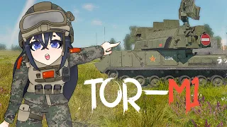 Tor-M1 "China top tier spaa" I War Thunder