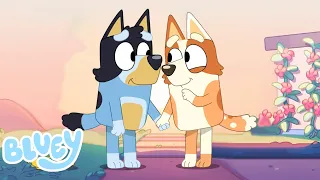 Brandy Conoció a Bandit de Pequeños? 💫 | Bluey Temporada 3 🎾