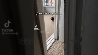 Свадьба Наруто и Хинаты на самом деле 🤣🤣