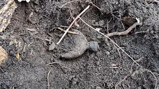 СТАРЫЙ ХУТОР НЕ БЫВАЕТ ПУСТЫМ! КОП ПО ВОЙНЕ! WW2 METAL DETECTING