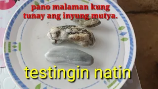 pano malaman kung ligit ang inyong mutya.testing po tayo