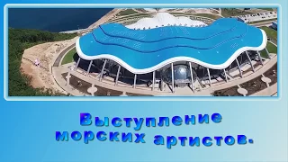 Приморский океанариум-  выступление морских животных.