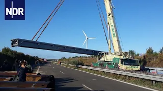 Einmaliger Bau: Eine Brücke über das A20-Loch | die nordreportage | NDR Doku