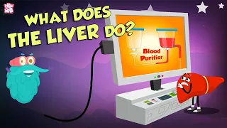 What Does The Liver Do? | Liver Functions | The Dr Binocs Show | Peekaboo Kidz