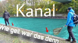 Solche Fische sind hier nicht alltäglich. Angeln, fangen, direkt essen🍔