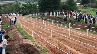 Tordilla Zheza ganadora en Alto Vera Perlita