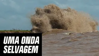 Surfe na POROROCA com Lucas Fink, Fabio Gouveia e Raoni Monteiro | Festival da Pororoca | Canal OFF