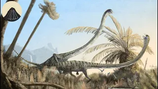 When Reptiles Had Really Long Necks