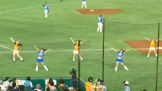 Yomiuri Giants Tokyo Dome Baseball Cheerleaders Tokyo May 2018