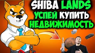 Команда Shiba Inu Запускает Продажу Shiberse - Shiba Lands Успей Купить