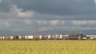 JR貨物EF510貨物列車撮影集～赤と青の機関車～