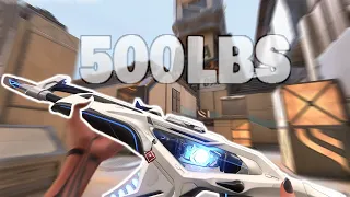 500LBS