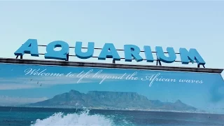 Travel Massive Cape Town. Two Oceans Aquarium with WTM Africa.