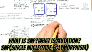 what is SNP?what is mutation? SNP(single nucleotide polymorphism) @umerfarooqbiology7083