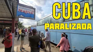 How to move around in Cuba WITHOUT FUEL and let´s talk about rent (Cienfuegos).