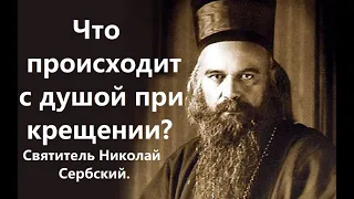 Что происходит с душой при крещении? Святитель Николай Сербский.