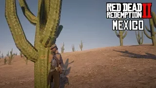 Esto pasa si vas a México en Red Dead Redemption 2 - Jeshua Games