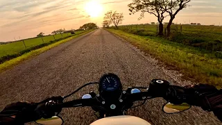 Harley Davidson Sportster 48 | Pure Engine Sounds | Cobra Speedster 909 Exhaust | Sunset Ride