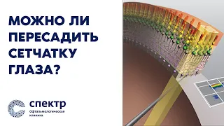 Секреты сетчатки: Почему это важно и как сохранить зрение на всю жизнь.