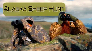 Alaska sheep hunt… no luck this year