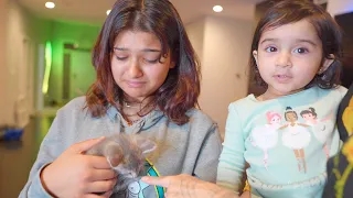 SURPRISING MY DAUGHTERS WITH A CAT!!