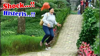 Super Shock..!! Funny Bushman Prank