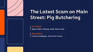 The Latest Scam on Main Street: Pig Butchering