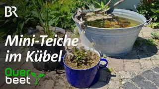 Mini-Teiche im Kübel