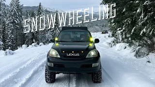 SNOW WHEELING @GREENWATER / SUBARU CROSSTREK GOT STUCK ‼️/ GX470 off - road adventure