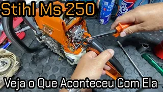 Vejam Qual Era o Problema Da STIHL MS 250