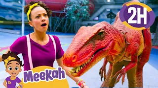 Meekah DANCES With A Dinosaur + More | Blippi and Meekah Best Friend Adventures