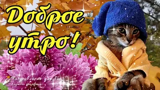 ☕️🌺 Доброе Утро! Пусть чашка кофе согреет тебя! 🌺Утренний позитивчик для друзей! 🌺