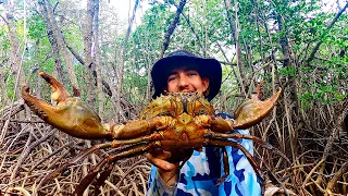 Chasing Huge Mud Crabs With my BARE HANDS!!! Nhulunbuy, Northern Territory Australia!