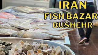 IRAN 4K | FISH BAZAAR | BUSHEHR