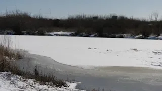 Городские новости 24 марта 2020г.